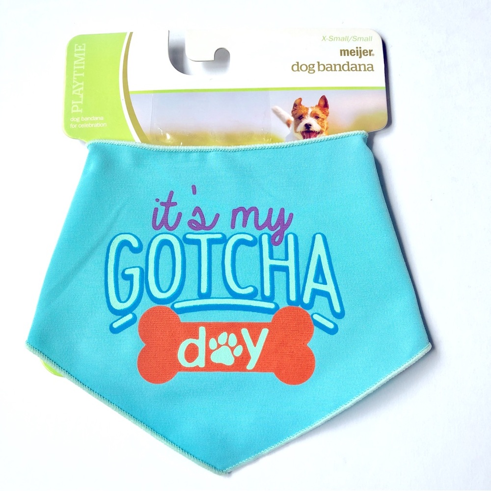 3/$15 NEW IT'S MY GOTCHA DAY Pet Bandana Apparel Blue XS SMALL 10"-14" Neck